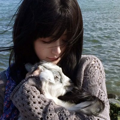 朱门情恨 海报